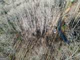 0 Chestnut Mountain Drive - Photo 4