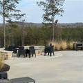 316 Pebble Trace Street - Photo 17