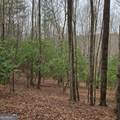 8.5 Blue Berry Ridge - Photo 14