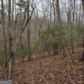 8.5 Blue Berry Ridge - Photo 15