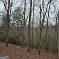 8.5 Blue Berry Ridge - Photo 16