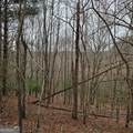 8.5 Blue Berry Ridge - Photo 17