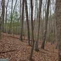 8.5 Blue Berry Ridge - Photo 18