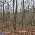 8.5 Blue Berry Ridge - Photo 19