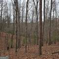 8.5 Blue Berry Ridge - Photo 20