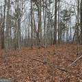 8.5 Blue Berry Ridge - Photo 21