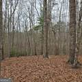 8.5 Blue Berry Ridge - Photo 22
