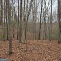 8.5 Blue Berry Ridge - Photo 23