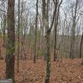 8.5 Blue Berry Ridge - Photo 24