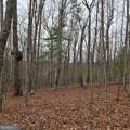 8.5 Blue Berry Ridge - Photo 25