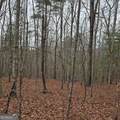 8.5 Blue Berry Ridge - Photo 27