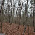 8.5 Blue Berry Ridge - Photo 28