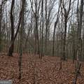 8.5 Blue Berry Ridge - Photo 29