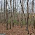 8.5 Blue Berry Ridge - Photo 6