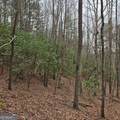 8.5 Blue Berry Ridge - Photo 7