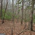 8.5 Blue Berry Ridge - Photo 9