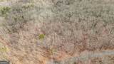21 Andes Ridge - Photo 10