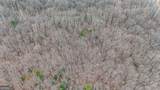 22 Andes Ridge - Photo 7