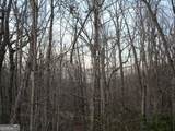 LOT 21 Long Mountain Trail - Photo 28