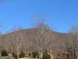 LOT 21 Long Mountain Trail - Photo 31