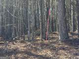 0 Shannon Parkway - Photo 11
