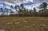 13463 Cowart Pond Road - Photo 13