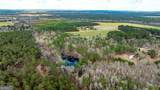 13463 Cowart Pond Road - Photo 21