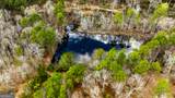 13463 Cowart Pond Road - Photo 5