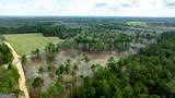 13463 Cowart Pond Road - Photo 7