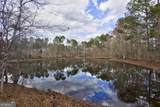 13463 Cowart Pond Road - Photo 9