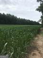 0 Cleveland Hwy - Photo 2
