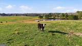 998 Dunn Road - Photo 22