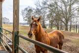 31 Old Hardin Bridge Road - Photo 114