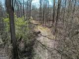 406 Mulberry Road - Photo 13