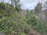 LT 166 Shenendoa Drive - Photo 10