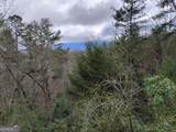 LT 166 Shenendoa Drive - Photo 11