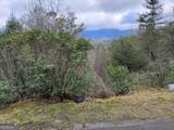 LT 166 Shenendoa Drive - Photo 12
