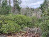 LT 166 Shenendoa Drive - Photo 3