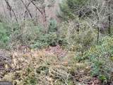 LT 166 Shenendoa Drive - Photo 9