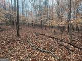 LOT 942 Birdie Court - Photo 4