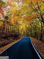 0 Shadowick Mountain Road - Photo 8