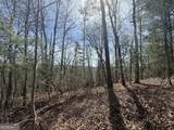 TRACT 3A Big View Lane - Photo 2