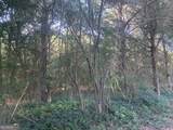0 Pedenville Road - Photo 30