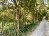 0 Pedenville Road - Photo 33