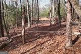 LOT #8 Casa Rio Drive - Photo 13