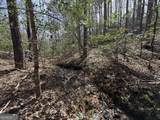 0 Bayou Drive - Photo 6