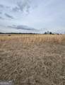 0 Mark Wood Rd.(Lot 1) - Photo 2