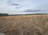 0 Mark Wood Rd. (Lot 3) - Photo 3