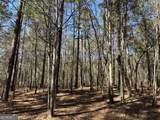 7.34 ACRES Woodmont Drive - Photo 5
