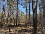 7.34 ACRES Woodmont Drive - Photo 9